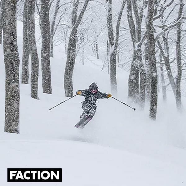 フリースタイルスキー FACTION ファクション スキーポール FACTION