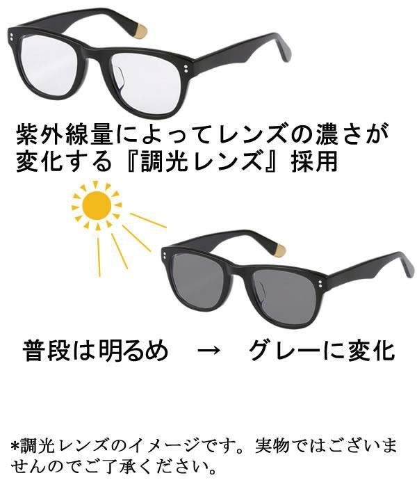 フローン 偏光調光レンズ サングラス バネヒンジ GREEN LABEL FGL003-1