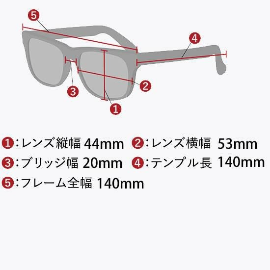 フローン 偏光調光レンズ サングラス バネヒンジ GREEN LABEL FGL003-1