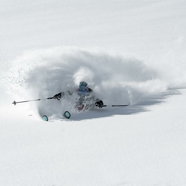 KASTLE フリーライドスキー 2026 ZX 115 スキー板 単品 (板のみ