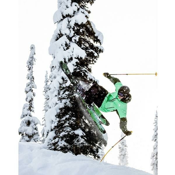 ライン スキーポール 2025 VISION Orange 103～145cm 伸縮式