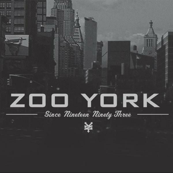 スケボー デッキ zooyork デッキ 単品 BIG CITY FLARE 8.0 x 32インチ