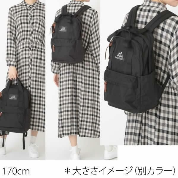 GREGORY グレゴリー リュック バッグ EASY PEASY DAY 18L イージーピー