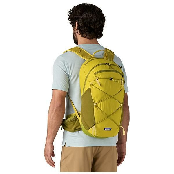 PATAGONIA パタゴニア リュック バッグ TERRAVIA PACK 22L GRZG M