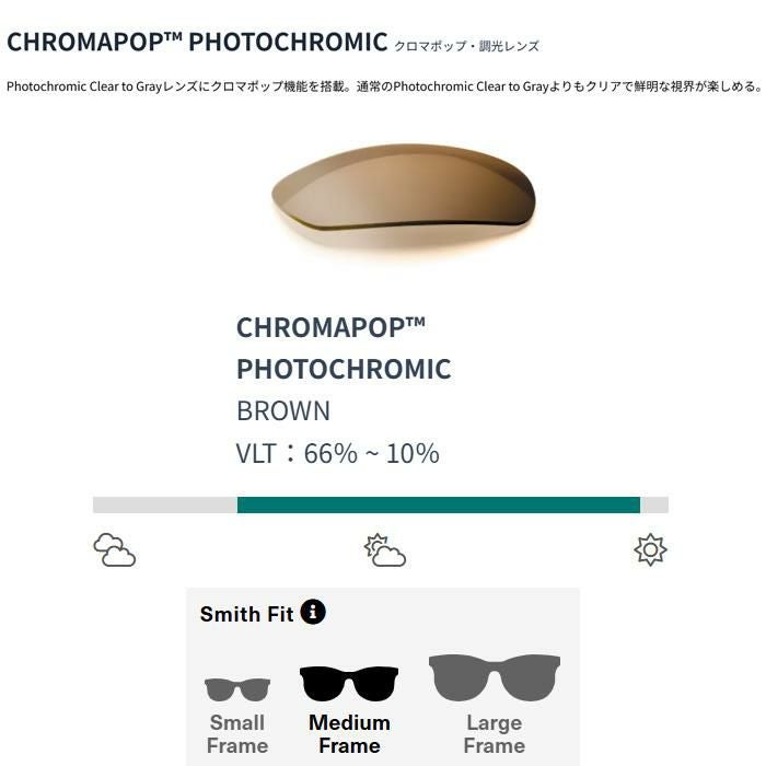 smith サングラス 調光 Lowdown 2 Matte Black（CP Photo Brown 
