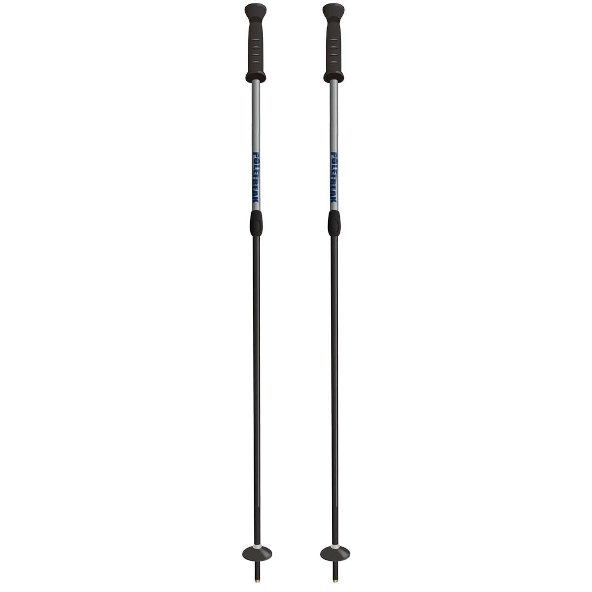 POLEFREAK ポールフリーク スキーポール 2026 FX2 伸縮ポール 100