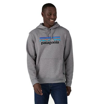 国内正規品】Patagonia パタゴニア パーカー トレーナー M 9号