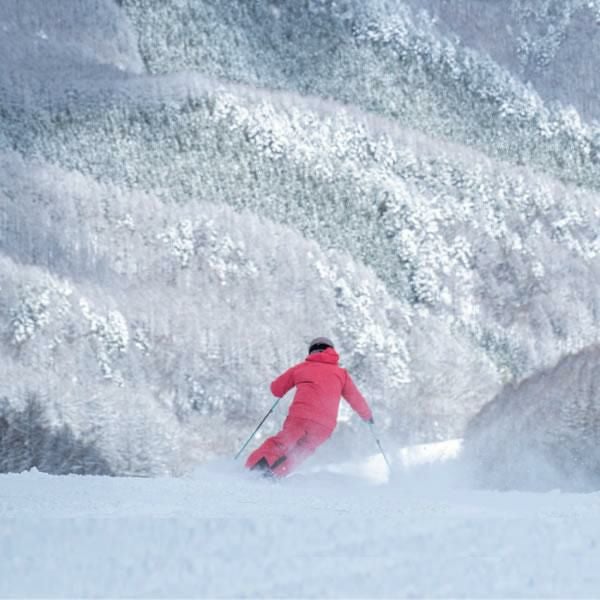 オガサカ スキーポール LC-FS/TB ターコイズブルー 95～120cm 伸縮式