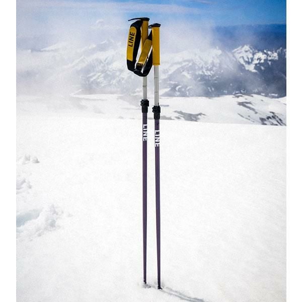 ライン スキーポール 2026 PAINTBRUSH Purple 伸縮式 ペイント
