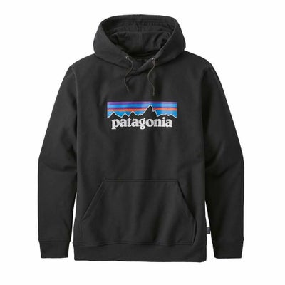 PATAGONIA(パタゴニア) / スウェット プルオーバーパーカー / Men