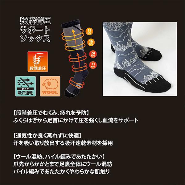 スノーボード 着圧ソックス 2足セット ebs エビス COMPRESSION MANIA