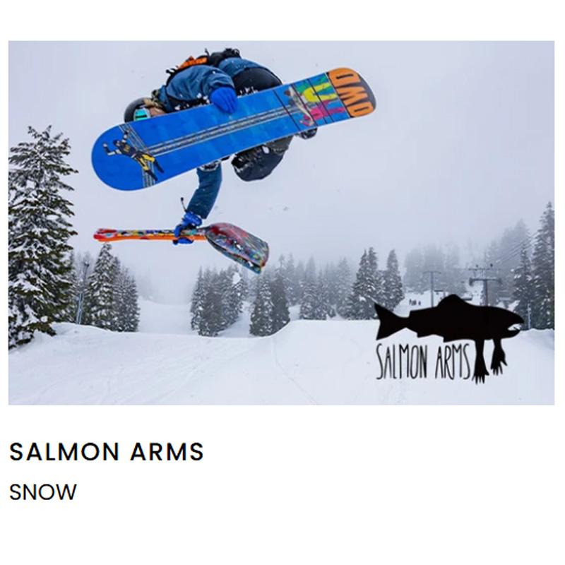 サーモンアームズ グローブ ミトン SALMON ARMS / OVER MITT 2 / MINI